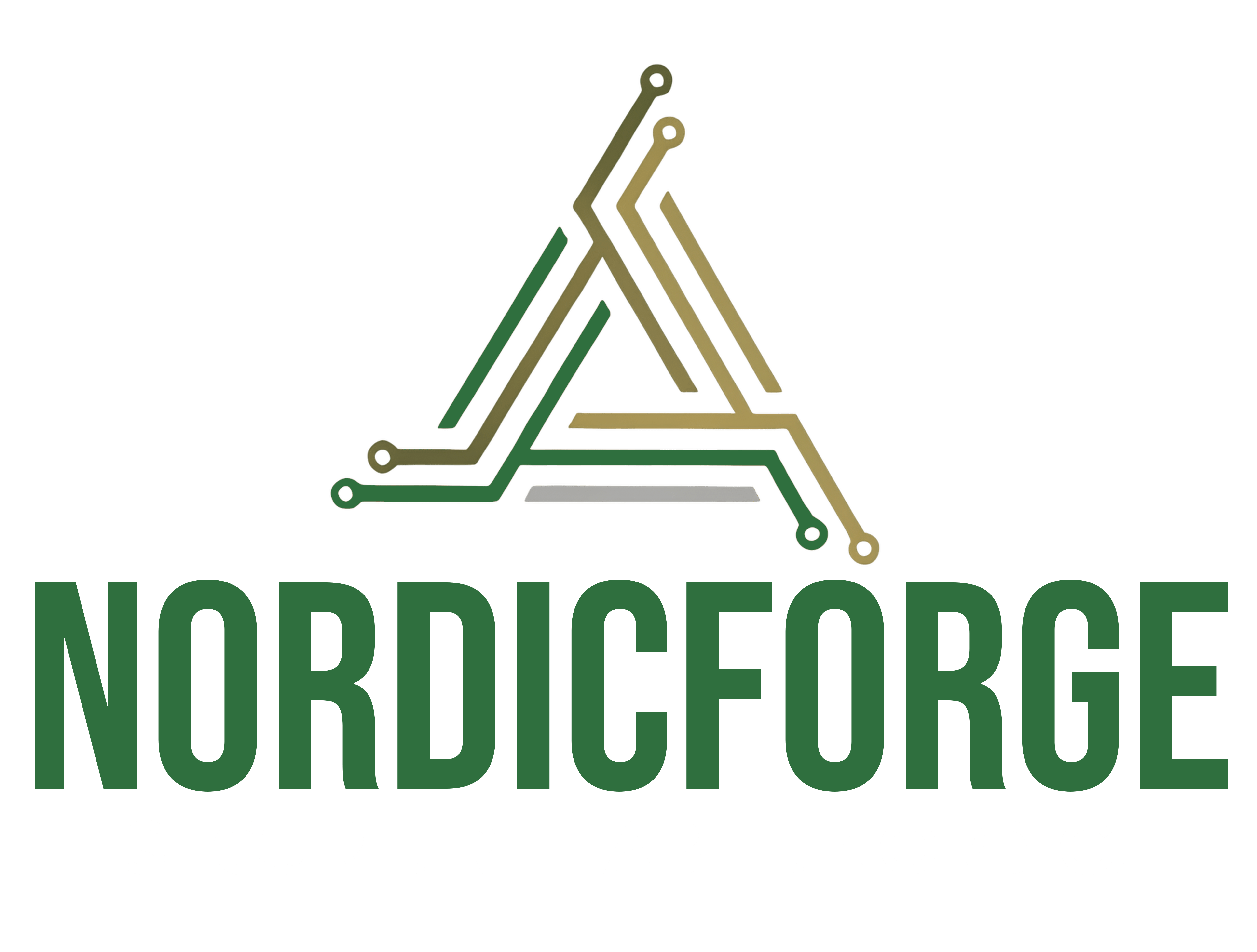 NordicForge Logo - Trusted IT and Cybersecurity Solutions in Wisconsin